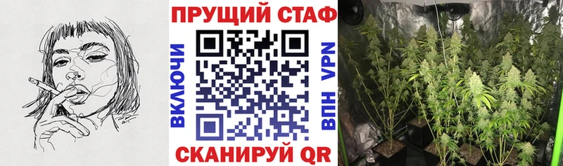 Купить наркотики цена Гай ГАШ  МАРИХУАНА  Cocaine  Меф мяу мяу 