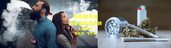 сатива Аркадак