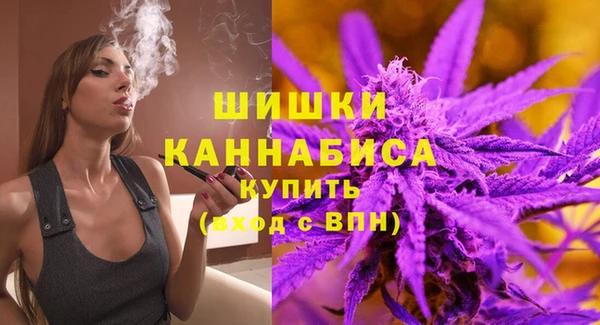 гидра Арсеньев
