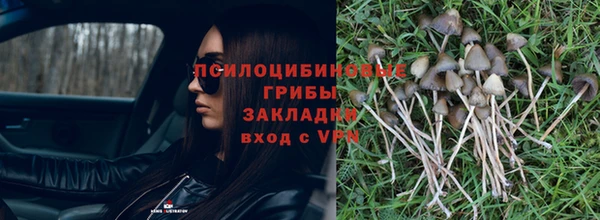 ГАЛЛЮЦИНОГЕННЫЕ ГРИБЫ Армянск