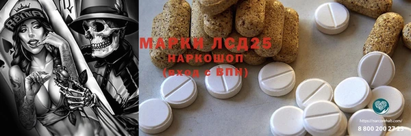 гидра Арсеньев