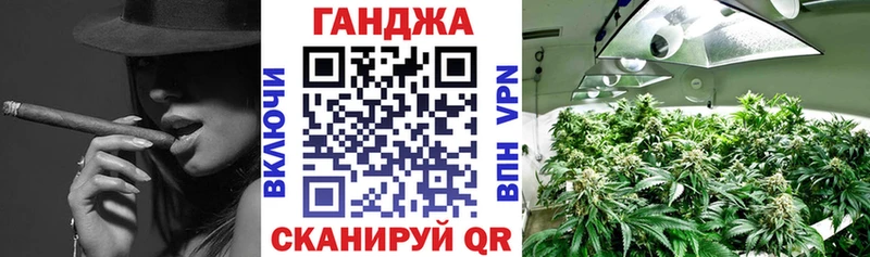 Конопля индика  купить наркотики сайты  Гай 